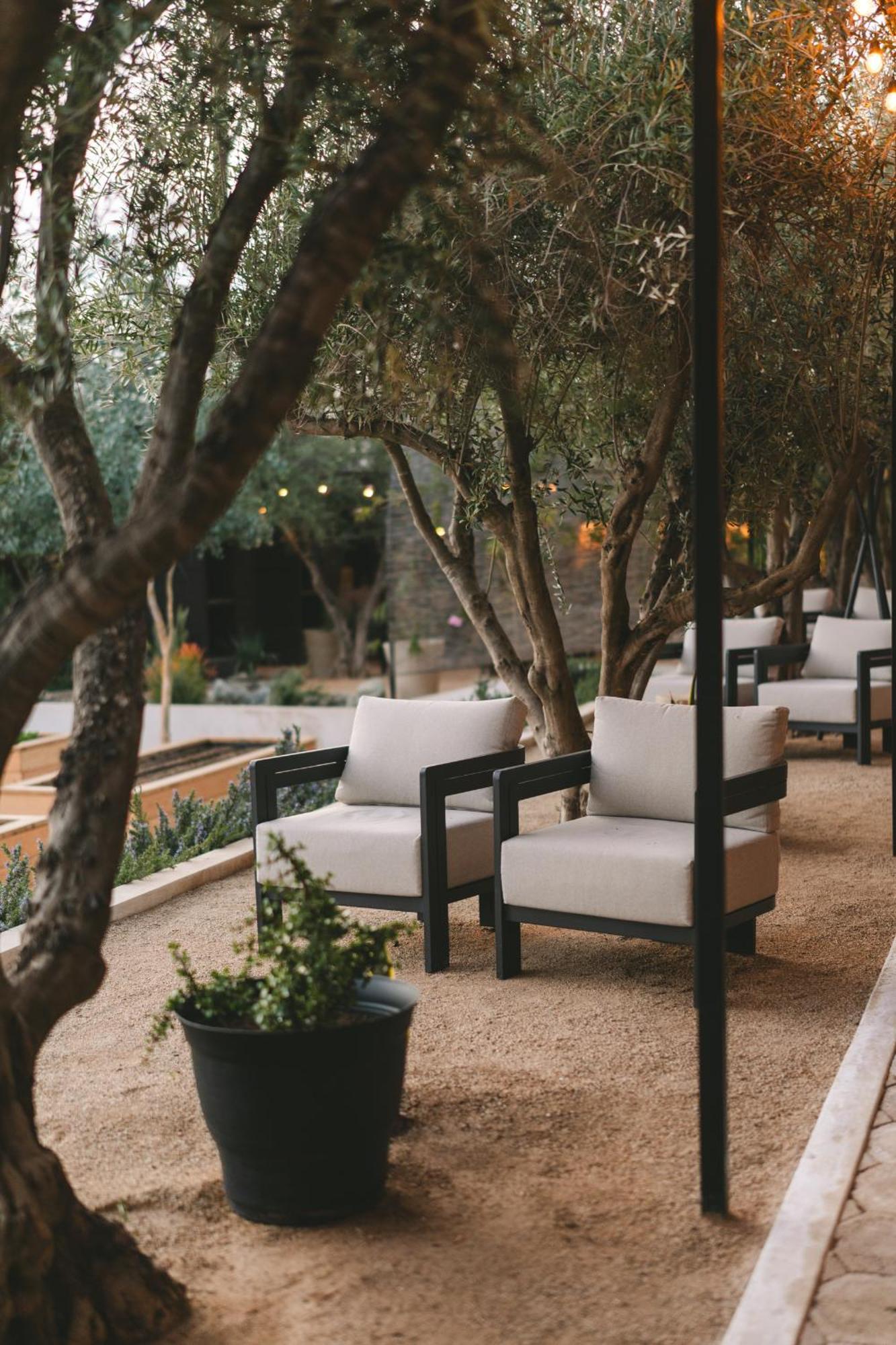 Casa Olivea - Mya Hotel Валье-де-Гуадалупе Экстерьер фото